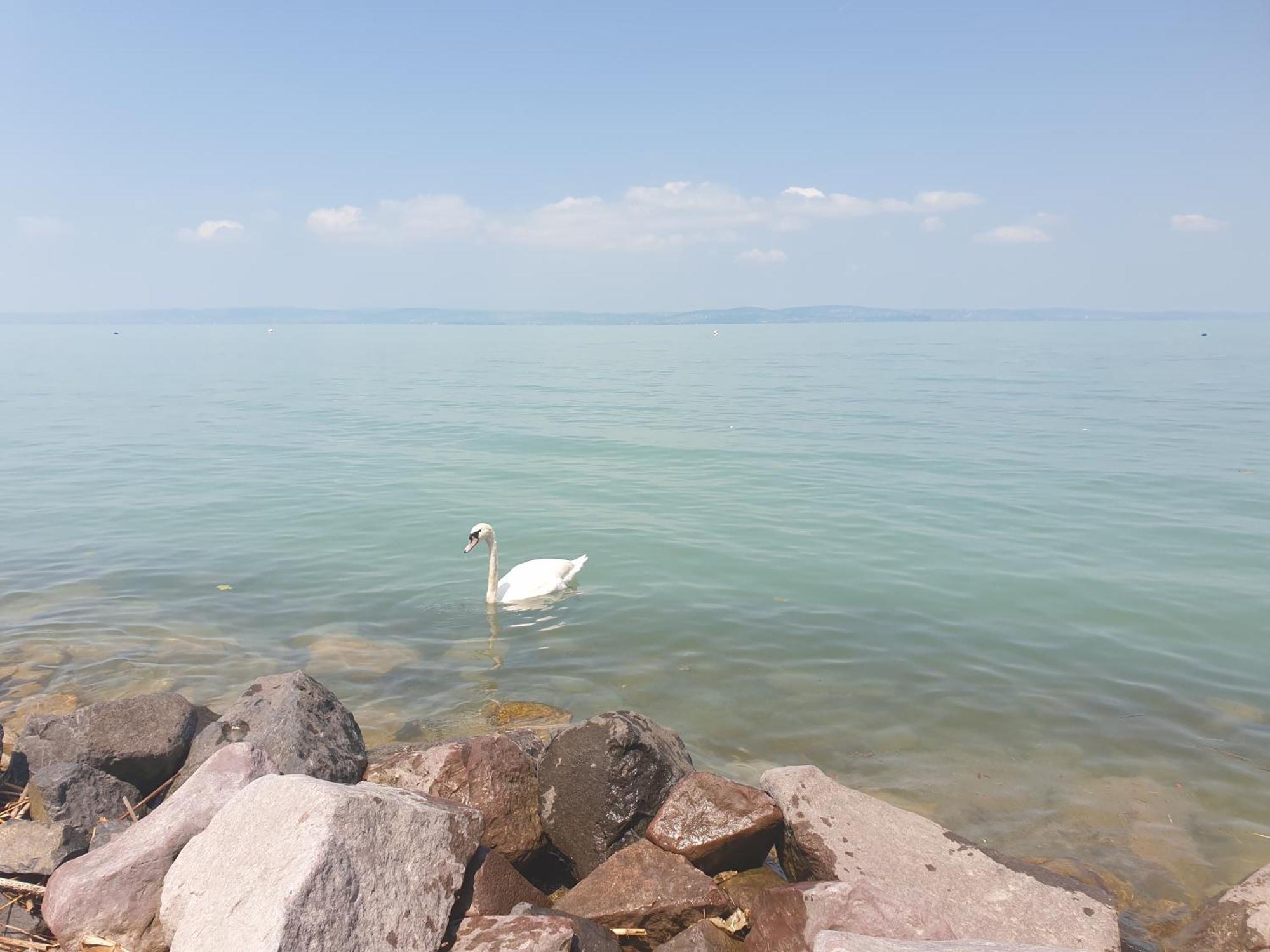 Balaton Lakeside Residence Шиофок Экстерьер фото